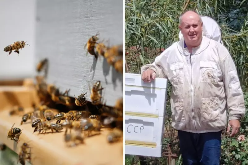 Varroa Mite Threatens SA's Riverland Food Bowl, Beekeepers on High Alert