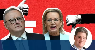 2025 Winners & Losers: Albanese's Easy Run as Opposition Implodes