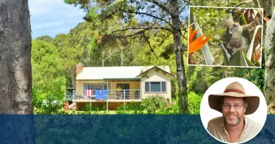 A Day of Digital Detox: How Forced Inactivity Revealed Nature's Hidden Wonders