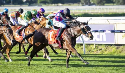 Casey's Angel Undercover favourite for $100k Boxing Day Dash at Pinjarra