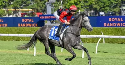 Expert Race-by-Race Preview & Tips for Saturday's Randwick Meeting