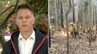 Firefighter Killed by Falling Tree in NSW Bushfire, First Fatality of Season