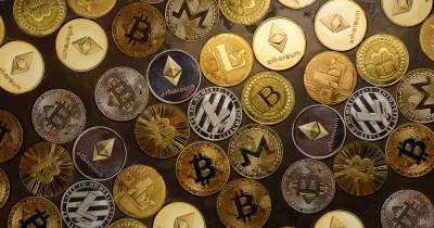 Institutional Capital Pivots from Crypto Tokens to Infrastructure in 2025