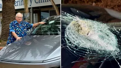 Meteorite Mystery Solved: Tesla's Damaged Windscreen Not From Space Rock