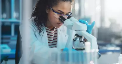 New Study Ranks Australian States by Cancer Rates: NSW Tops List