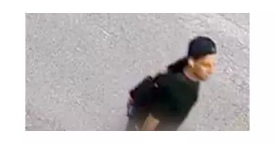 Newcastle driver threatened with meat cleaver in carjacking attempt