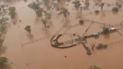 Northwest Queensland Farmers Reel From 'Unprecedented' Flash Flooding