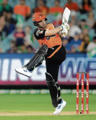 Perth Scorchers Bring Back Josh Inglis, Drop Hobson for Sydney Thunder Clash