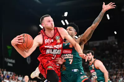 Perth Wildcats Trio Cleared for Crucial NBL Clash Against Adelaide 36ers