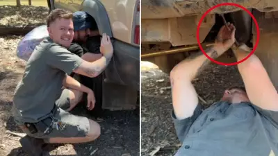 Queensland Python Hitches 1000km Ride to NSW Central Coast in Car