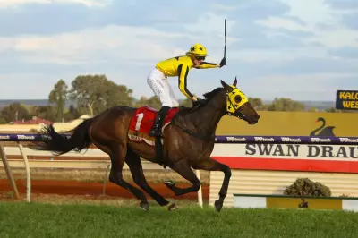 Sentimental Hero: Forgotten Perth Cup Favourite Returns Stronger for 2026