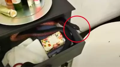Sydney Woman's Shocking Find: Venomous Snake Hides in Bathroom Drawer