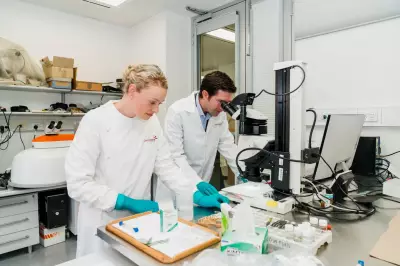 WA Researchers Pioneer Hair Protein ID Method, a Potential Forensic Game-Changer