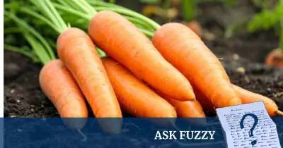 Why Your Carrots Taste Bland: The Science Behind Flavour Loss