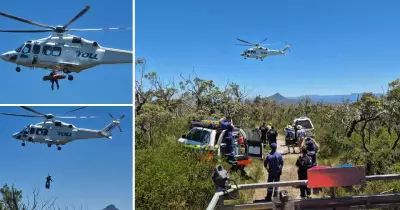 Woman survives double brown snake bite near Pointer Dam, airlifted to hospital