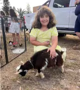 Albanese Accused of Failing to Curb 'Festering' Anti-Israel Sentiment