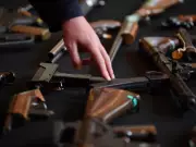 Albanese Unveils Largest Gun Buyback Since Port Arthur, Targets 4 Million Firearms