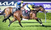 Apulia Dominates Ted Van Heemst, Emerges as Perth Cup Favourite