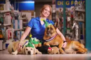 Aussies to Splurge $1 Billion on Pets This Christmas Despite Cost Pressures