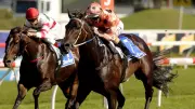 Black Caviar's Granddaughter Set for Debut as Hawkes Target Canterbury Double