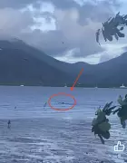 Cairns police standoff ends after man flees into crocodile-infested waters