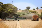 CBH Hits Record Grain Receivals: 22.9 Million Tonnes in 92-Year History