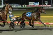 Don Hugo Secures Nullarbor Slot: WA's Richest Harness Race Gets Early Boost