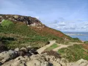 Dublin's Coastal Trail: Howth Head Walk Reveals Ireland's Seaside Secrets