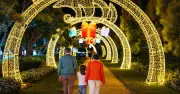 Hunter Valley Gardens Christmas Lights Spectacular: 4.5 Million Lights Illuminate Festive Season