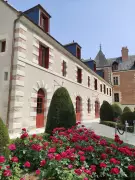 Leonardo da Vinci's Final Years in France: A Tour of His Loire Valley Home