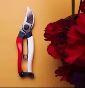 Sabrina Hahn's 2025 Christmas Gift Guide for Perth Gardeners