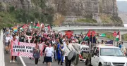 Sea Cliff Bridge Shut as Pro-Palestine March Halts Traffic in Wollongong