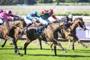 Suspension Sidelines Jockey, Black Caviar's Luke Nolen Steps into Perth Cup Ride