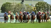 Sydney's Rosehill Races Postponed to Sunday Amid Extreme 40C Heat Forecast
