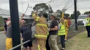 Three Corellas Die in Bannockburn Football Net Tragedy