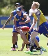 West Coast Eagles Focus on Hand Speed in Mid-Week Training Session