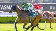 Widdup Backs Tequila Baby for Warwick Farm Bounce Back After Last Start Flop