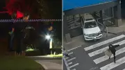 Wild Melbourne Shopping Centre Car Rampage: New Court Footage Released
