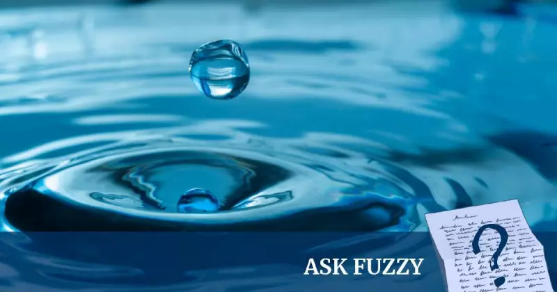 Does Water Have a Flavour? Science Reveals Surprising Truth