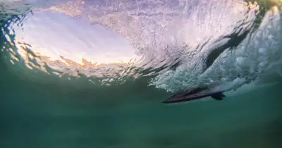 2026 Hunter Photography Prize Opens for Amateur Snappers