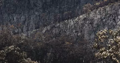 ACT Declares First Total Fire Ban in Six Years Amid Extreme Heatwave