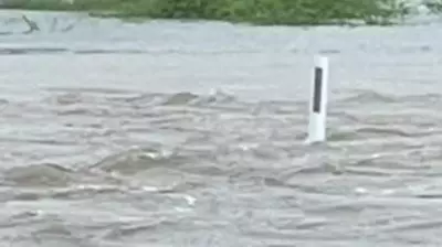Alligator Creek Floods on New Year's Day: 'Never Gotten This Bad This Quickly'