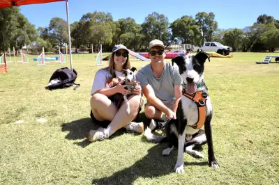 Australia's Pet Adoption Crisis: Record Low Rates Force Shelters to Euthanise