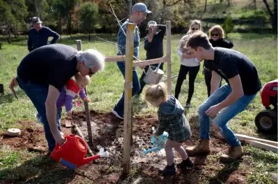 Blackwood's Memorial Trees Destroyed: Community 'Devastated' by Vandalism