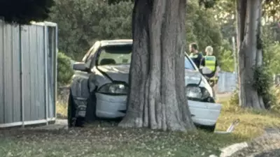 Car Mounts Nature Strip and Crashes into Tree in Corio Collision