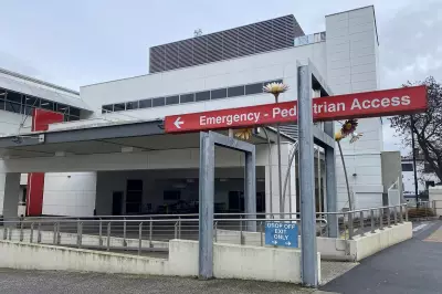 Child in serious condition after alleged Launceston stabbing, woman charged