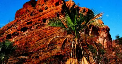 Choosing Grace Over Outrage: The Stoic Path to a Calmer Life in 2026