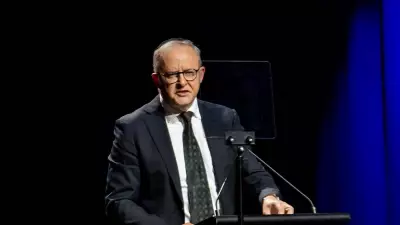 Coalition's Internal Rift Strengthens Albanese's Position Ahead of Election