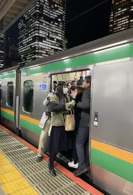 Escape Tokyo's Bustle: A Day Trip to Kamakura's Temples, Owls & Coastal Caves