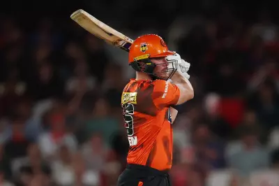 Finn Allen's Maiden BBL Century Proves Value of Scorchers' Patience